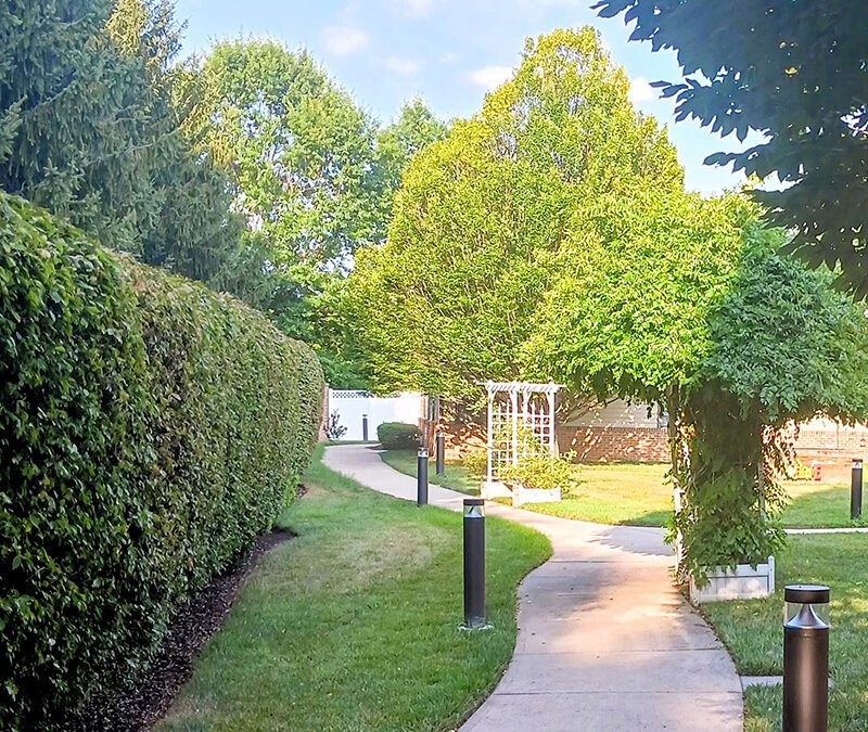 outside pathway through garden