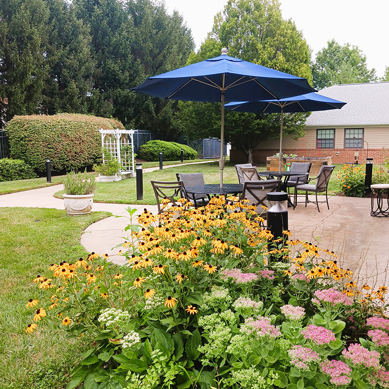 outdoor patio landscaped with flowers and shrubs