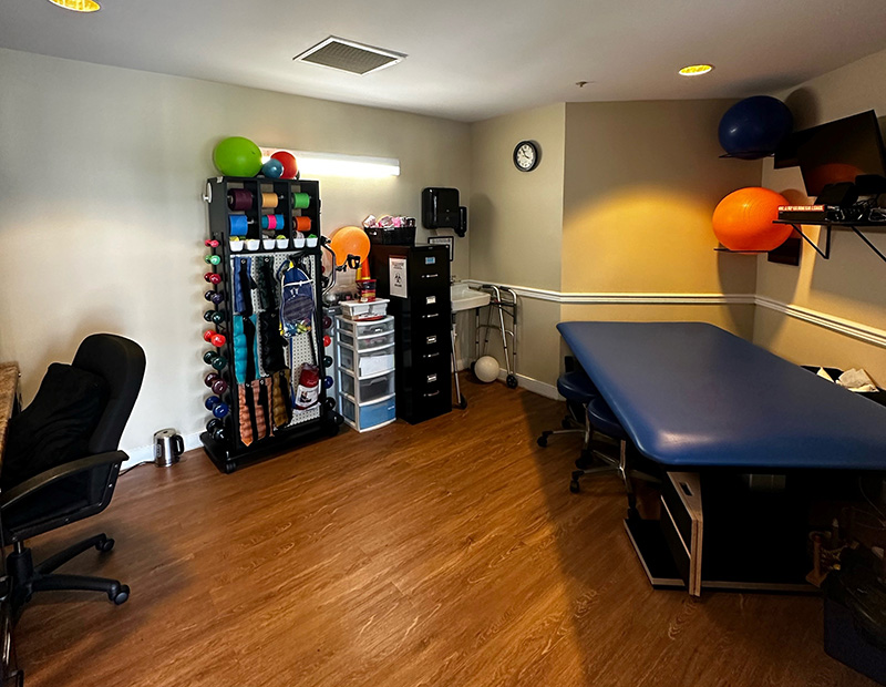 physical therapy equipment